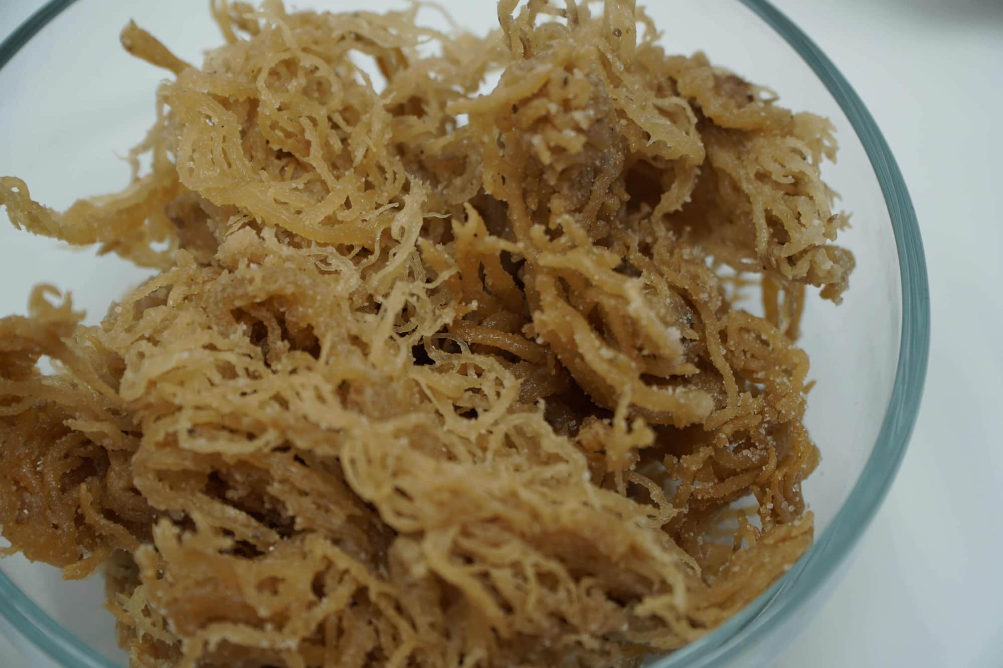 Real vs Fake Sea Moss